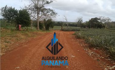 Se Vende Finca Agropecuaria 64,9Ha Chorrera Herrera USD1,624,000,/,