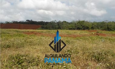 Se Vende Finca Agropecuaria 64,9Ha Chorrera Herrera USD1,624,000,/,
