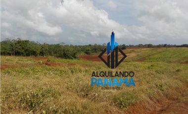 Se Vende Finca Agropecuaria 64,9Ha Chorrera Herrera USD1,624,000,/,