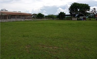 LOTE FRENTE A LA INTERAMERICANA PENONOME