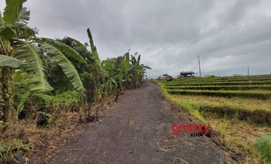 DIJUAL TANAH UMALALANG CEMAGI MENGWI BADUNG, BALI