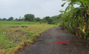 DIJUAL TANAH UMALALANG CEMAGI MENGWI BADUNG, BALI
