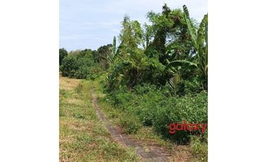 DIJUAL TANAH UMALALANG CEMAGI MENGWI BADUNG, BALI