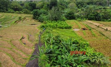 DIJUAL TANAH UMALALANG CEMAGI MENGWI BADUNG, BALI