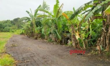DIJUAL TANAH UMALALANG CEMAGI MENGWI BADUNG, BALI