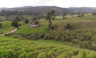 local en arriendo en milla de oro. Cod A2753