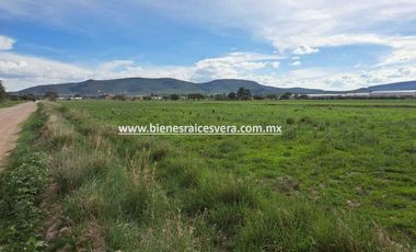 TERRENO EN VENTA EN TEQUISQUIAPAN JUAN