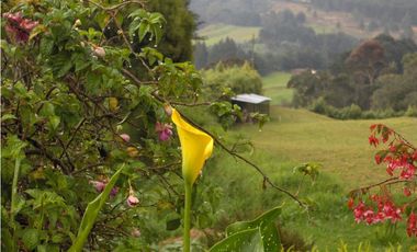 FINCA CON AMPLIO LOTE EN SANTA ELENA VEREDA SANTA ELENA SECTOR CENTRAL