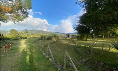 FINCA CON AMPLIO LOTE EN SANTA ELENA VEREDA SANTA ELENA SECTOR CENTRAL