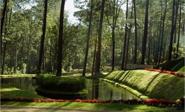 CASA EN VENTA Y RENTA / EN CONDOMINIO / CON ALBERCA / CON JACUZZI