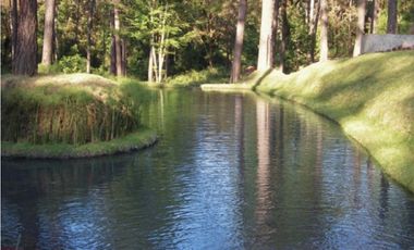 CASA EN VENTA Y RENTA / EN CONDOMINIO / CON ALBERCA / CON JACUZZI