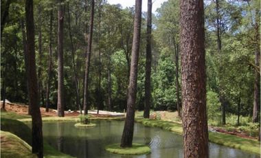 CASA EN VENTA Y RENTA / EN CONDOMINIO / CON ALBERCA / CON JACUZZI