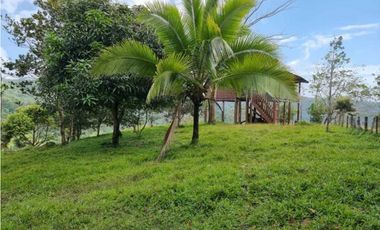 GANGA 166 HAS EN CAÑITAS DE CHEPO