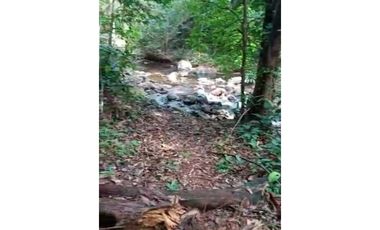 GANGA 166 HAS EN CAÑITAS DE CHEPO