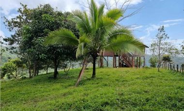 GANGA 166 HAS EN CAÑITAS DE CHEPO