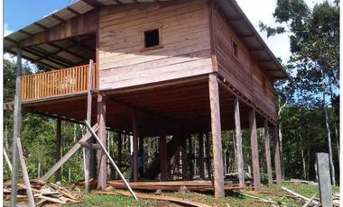 GANGA 166 HAS EN CAÑITAS DE CHEPO