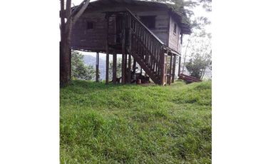 GANGA 166 HAS EN CAÑITAS DE CHEPO