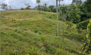 GANGA 166 HAS EN CAÑITAS DE CHEPO