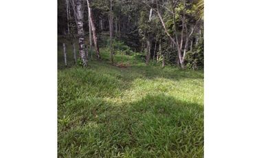 GANGA 166 HAS EN CAÑITAS DE CHEPO