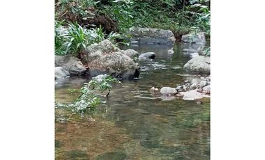 GANGA 166 HAS EN CAÑITAS DE CHEPO