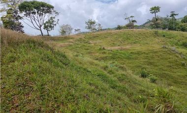 GANGA 166 HAS EN CAÑITAS DE CHEPO