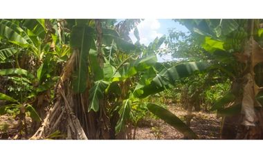 VENDO CASA CON 1000 METROS EN BOQUERON