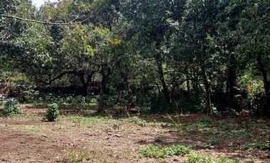 Vendo terreno en Santo Ocotitlan con vista panorámica a las montañas