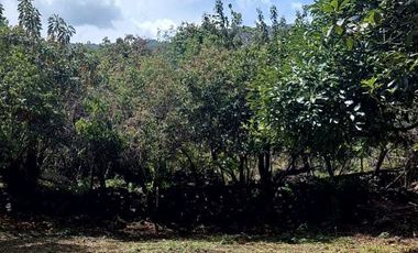 Vendo terreno en Santo Ocotitlan con vista panorámica a las montañas