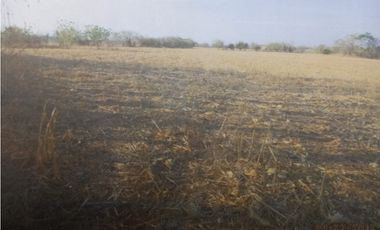 Se Vende Finca de 8.4 Hectáreas en Las Tablas