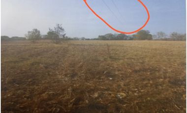 Se Vende Finca de 8.4 Hectáreas en Las Tablas