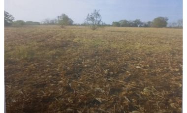 Se Vende Finca de 8.4 Hectáreas en Las Tablas
