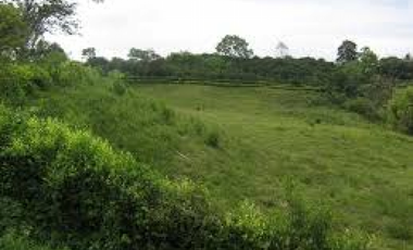 Se Vende Finca de 8.4 Hectáreas en Las Tablas