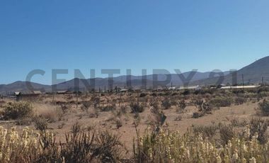 Vendo terreno 9600m2. agro industrial plano