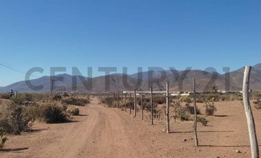 Vendo terreno 9600m2. agro industrial plano
