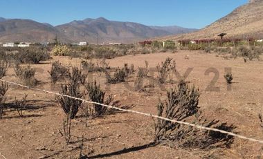 Vendo terreno 9600m2. agro industrial plano