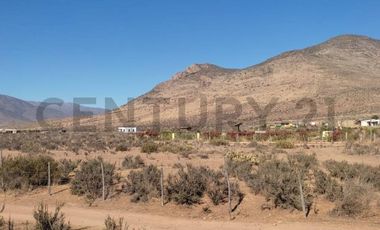 Vendo terreno 9600m2. agro industrial plano