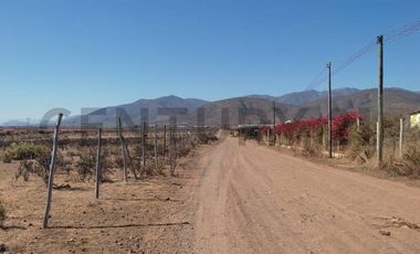 Vendo terreno 9600m2. agro industrial plano