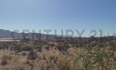 Vendo terreno 9600m2. agro industrial plano