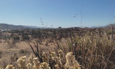 Vendo terreno 9600m2. agro industrial plano
