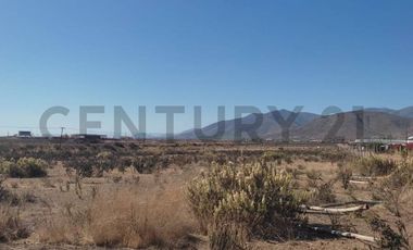 Vendo terreno 9600m2. agro industrial plano