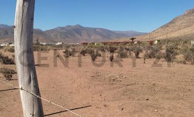 Vendo terreno 9600m2. agro industrial plano