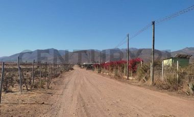 Vendo terreno 9600m2. agro industrial plano