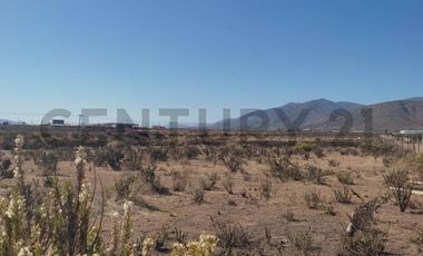 Vendo terreno 9600m2. agro industrial plano