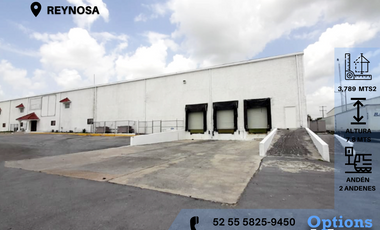 Reynosa, industrial warehouse for rent