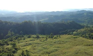 21.7-hectare Agricultural Lot for Sale in Baras, Rizal