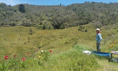 Venta finca Agropecuaria Concepción Antioquia