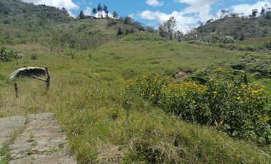 Venta finca Agropecuaria Concepción Antioquia