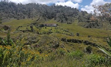 Venta finca Agropecuaria Concepción Antioquia