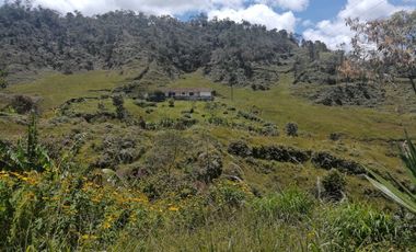 Venta finca Agropecuaria Concepción Antioquia