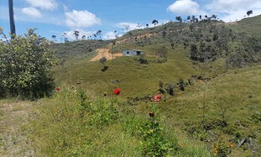 Venta finca Agropecuaria Concepción Antioquia